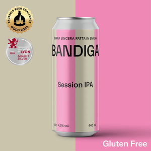 SESSION IPA